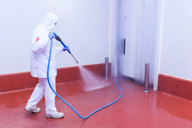Best Post-Construction Pressure Washing  in Paola, KS