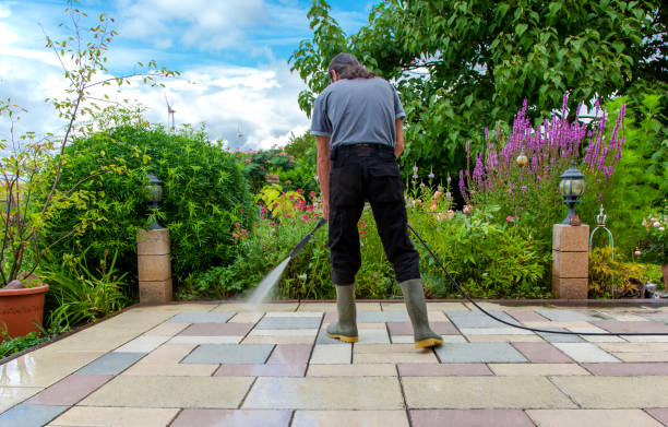 Best Restaurant Pressure Washing  in Paola, KS